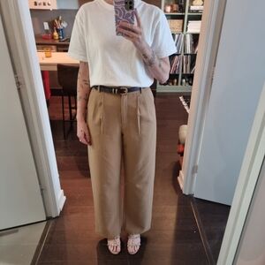 Abercrombie And Fitch Sloane Tailored Tan Pants